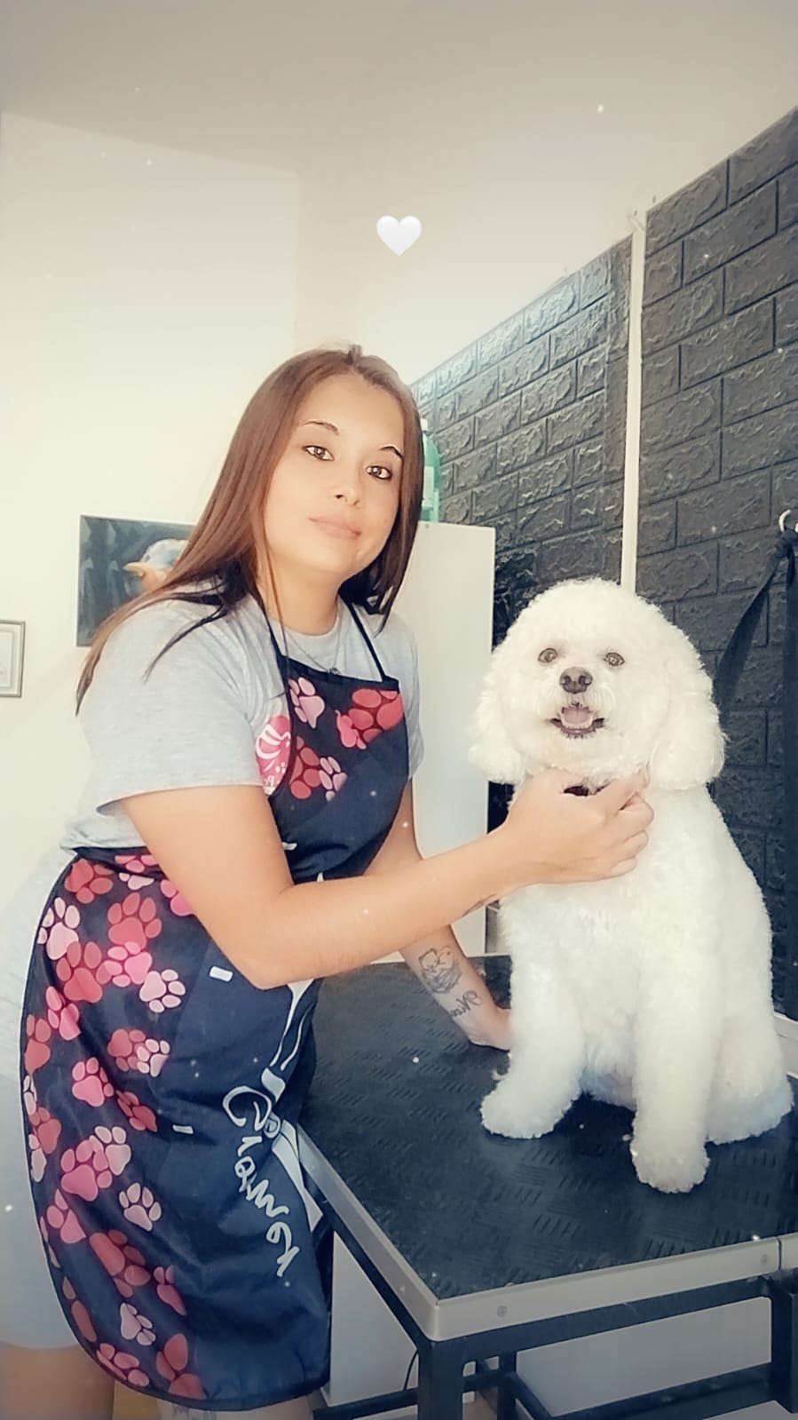 Trabajo realizado deslanado - Karitos Pets