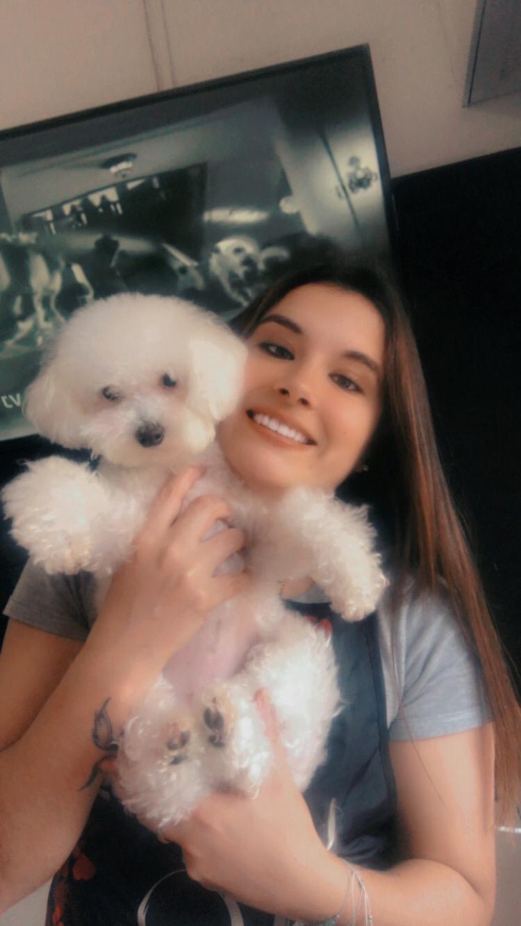 Trabajo realizado estética canina - Karitos Pets