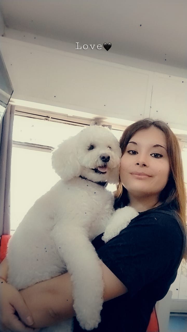 Trabajo realizado estética canina - Karitos Pets